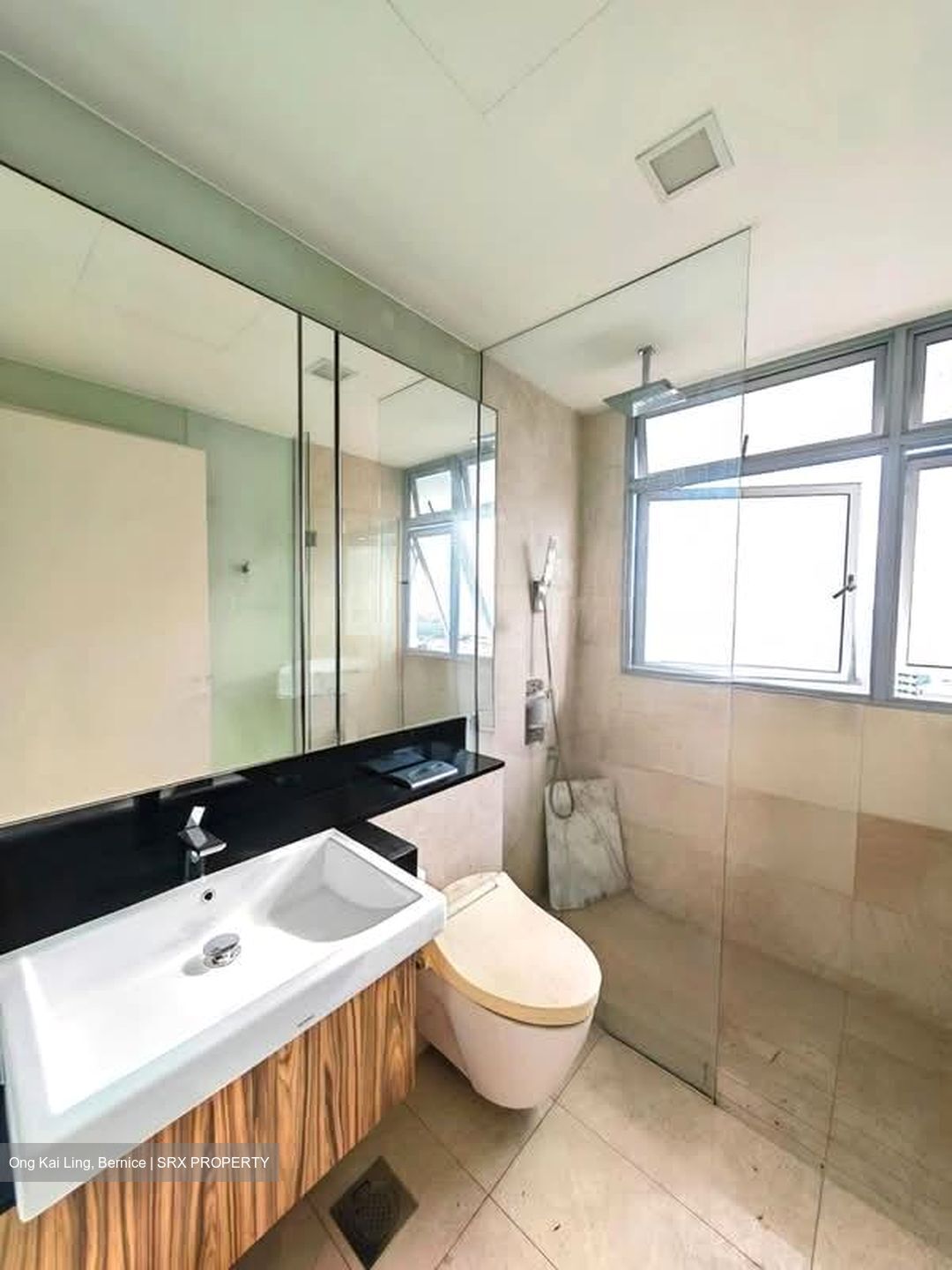 Suites @ Newton (D11), Apartment #595797941